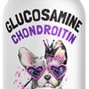 Liquid Glucosamine for Dogs Bacon Flavour with Chondroitin, MSM & Hyaluronic Acid K9 Supplement Hip and Joint Formula Advanced Mobility Joint Pain Relief Senior Advanced Supplement for All Breeds