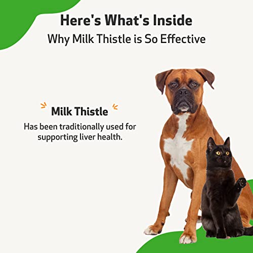 Pet Wellbeing Milk Thistle for Dogs & Cats - Supports Liver Health, Protects Liver - Glycerin-Based Natural Herbal Supplement - 4 oz (118 ml) - Image 4