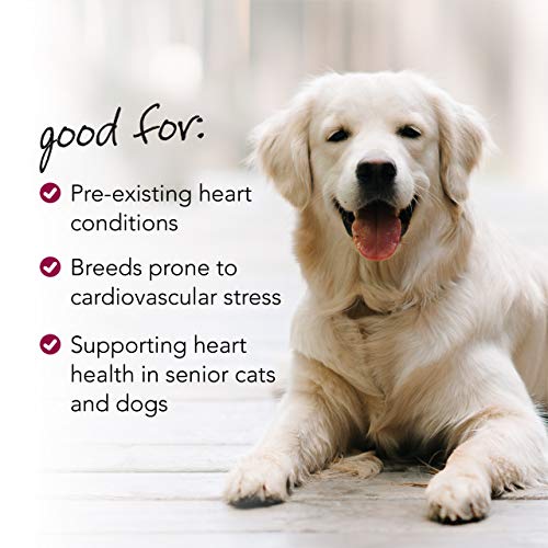 VetriScience Laboratories Cardio Strength, 90 Capsules - Supports Blood Flow, Immune System and Energy Levels for Dogs and Cats - Image 5